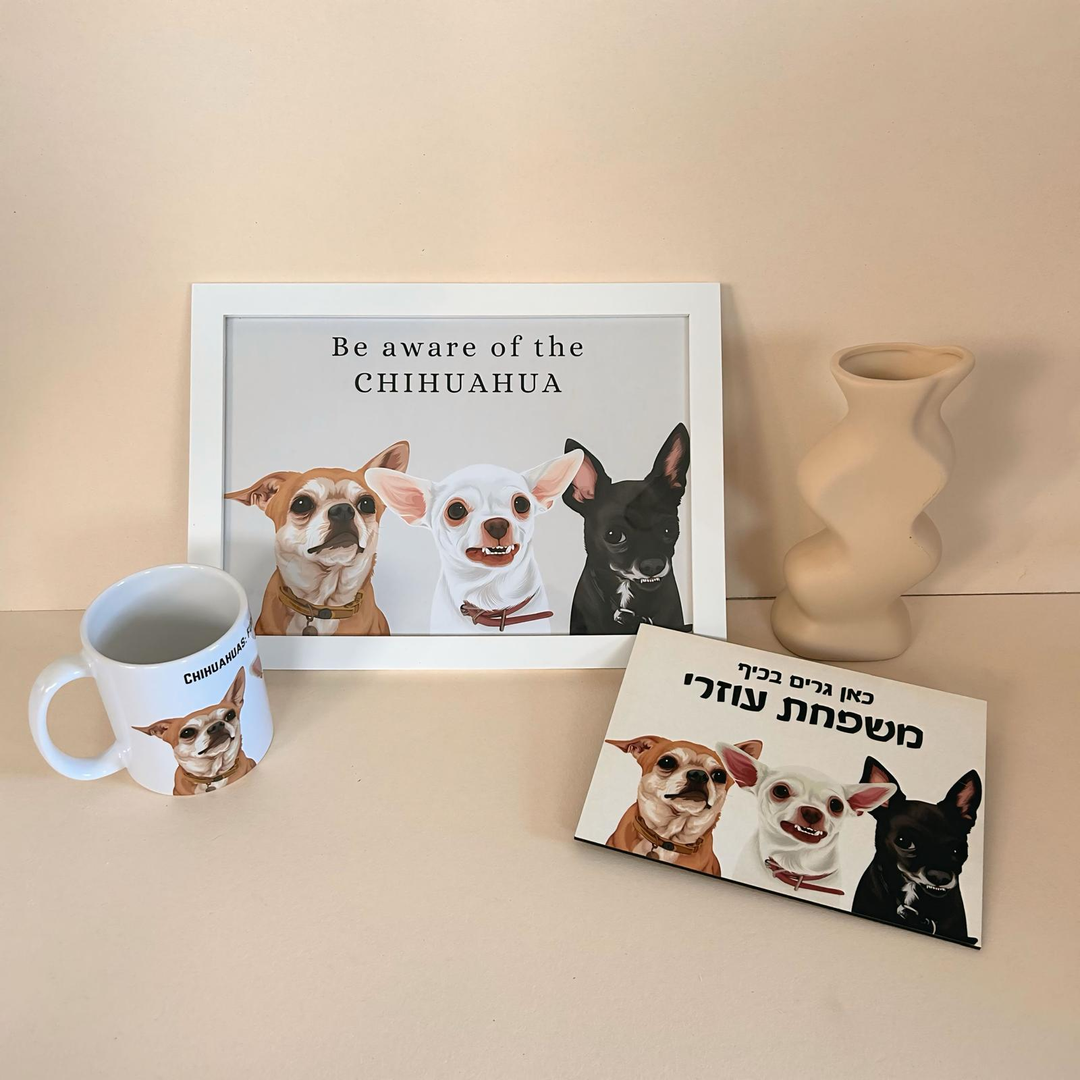 2. סטים ומארזים משתלמים